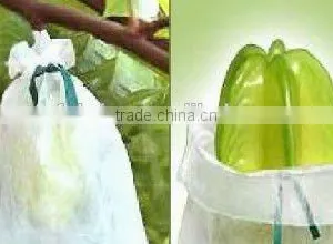 100% pp Spunbond Non Woven Agriculture Banana Bags thumbnail-2