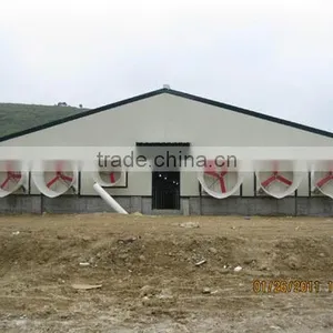 Light Steel Structure Chicken House in Ukraine thumbnail-1