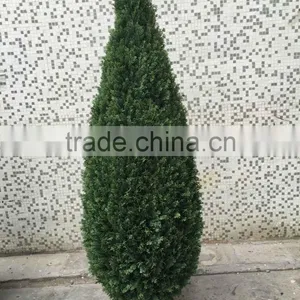 Outdoor Use Artificial Cypress Bonsai Tree thumbnail-1