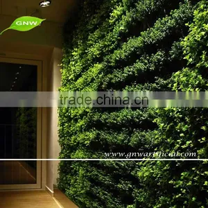 GNW GLW021 Indoor Green Wall Vertical Garden Materials for Home Decoration thumbnail-1