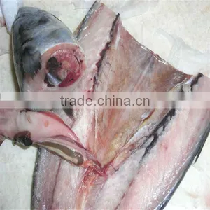 Fresh Live Sea Fish thumbnail-1
