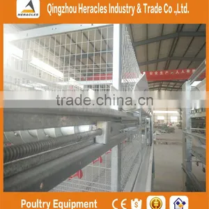 China Factory Price Trade Assurance Chicken Poultry Farm Equipment Layer Cage thumbnail-3