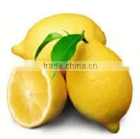 NATURAL DREID LEMON POWDER thumbnail-4