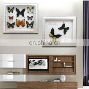 Real Butterfly Mounted in Frames - Decoration & Gifts thumbnail-2