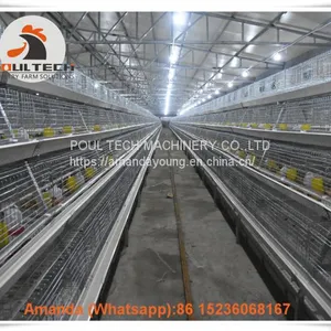 Selling Poultry Farming Baby Chick Cage & Automatic Small Chicken Cage & Pullet Coop With Feed Trough for 5000 Chicks in Chicken Shed in Colombia thumbnail-2