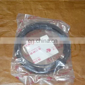 SAIC-IVECO GENELYON S00002021 SET OF PIST RINGS thumbnail-4