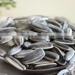 100% Sunflower Seeds Kernel Peeled Sunflower Seeds thumbnail-1