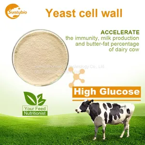 Yeast Cell Wall thumbnail-4