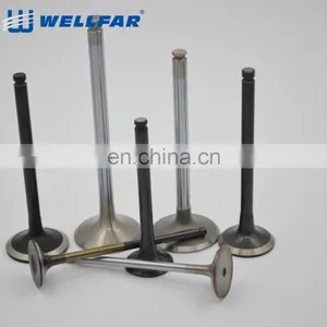 Good Material F6A F8C Automobile Parts Intake Valve thumbnail-1