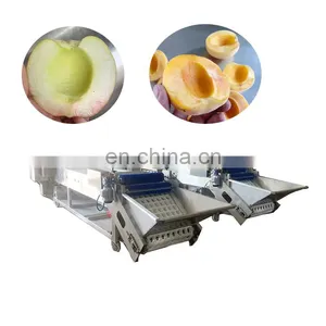 Commercial Use Fruit Stone Coring Seed Removing Plum Olive Cherry Pitter thumbnail-2