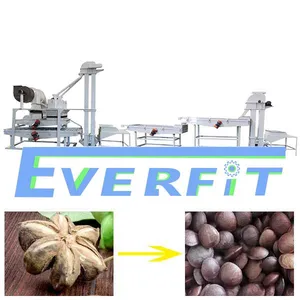 Producing Sacha Inchi Oil Machine in China | Sacha Inchi Shelling Machine thumbnail-1