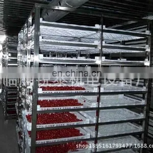 Factory Solar Cabinet Dryer Equipment Drying Oven Industrial Dehydrator Machine thumbnail-4
