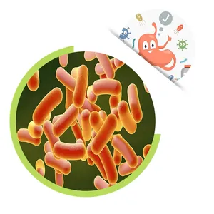 Factory Supply Probiotics Powder Lactobacillus Rhamnosus Powder For Digestive Health thumbnail-1