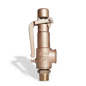 Manufacturer Direct Sales Copper Material Pressure Relief Valve Safety Valve thumbnail-1