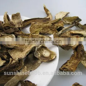 Dried Mushroom thumbnail-2