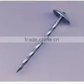 Roofing Nail thumbnail-1