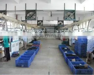 Shenzhen Xiangtai Footwear Co., Ltd. company overview - view 3 thumbnail