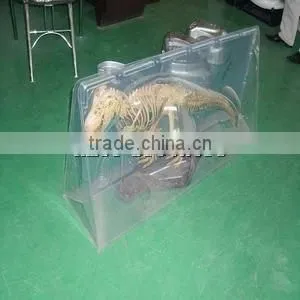 OEM Design Vacuum Forming Toy Plastic Package thumbnail-1