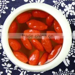 China Gouqi for Dried Fruit thumbnail-2