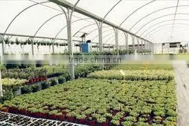 Plastic Film for Greenhouse thumbnail-1