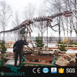 OAV2413 High Quality Dinosaur Skeleton Model thumbnail-1