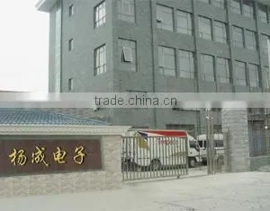 Qidong Yangcheng Electronics Co., Ltd. company overview - view 2 thumbnail