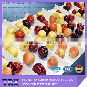 Food Grade PVC Conveyor Belt Fruit Conveyor Belt thumbnail-1