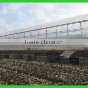 Export to Japan Agriclutural Polycarbonate Greenhouse thumbnail-3