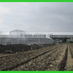 Export to Japan Agriclutural Polycarbonate Greenhouse thumbnail-4