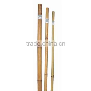 Bamboo Stake - Tonkin Bamboo Cane thumbnail-1