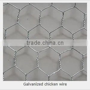 Supply Chicks Netting, Hexagonal Wire Netting (electro Galvanized, Hot Dipped Galvanized/ Hot-dipped Galvanized) thumbnail-5