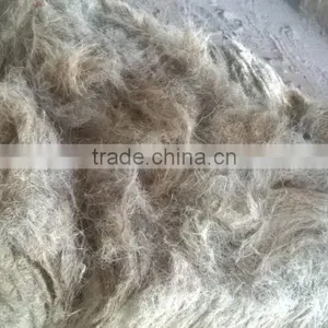 Coconut Fiber High Quality _ QQ : 2290755420 thumbnail-2