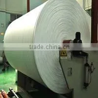 Polyester Spunbond Nonwoven Fabric thumbnail-1