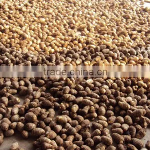 Chinese Taro Root 60g and up thumbnail-3