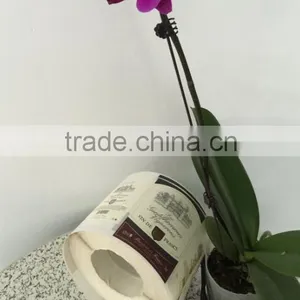 Guangzhou Manufacture Good Price Printing Wine Labels Self- Adhesive Stickers in Roll thumbnail-3