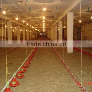 Broiler Poultry Farm Equipment thumbnail-1