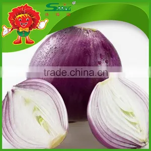 Best Quality Onions in Bulk for Mcdonalds Dehydrated Onions thumbnail-6