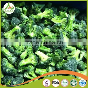 2016 New Crop Chinese Fresh Broccoli thumbnail-6