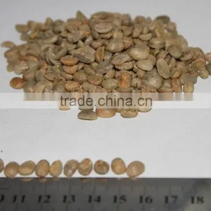 Raw Green Coffee Beans thumbnail-6