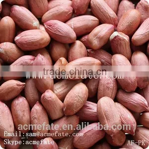 Chinese HACCP Certification Long Type Blanched Red Skin Peanut Kernels thumbnail-3