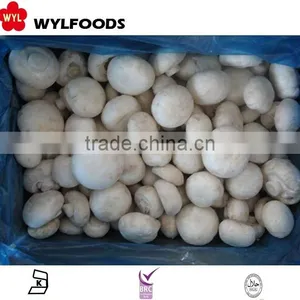 IQF China Price for Frozen Champignons Whole 2015 High Quality thumbnail-2