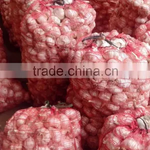 Fresh Normal White Garlic Whit Good Quality thumbnail-3