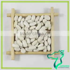 Wholesale Chinese Supply All Types Of White Kidney Beans thumbnail-2