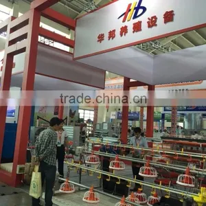 Huabang Poultry Chicken Equipment,automatic Chicken | Broiler Feeder thumbnail-3