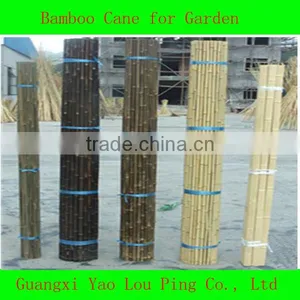 Bamboo Cane,Bamboo Pole,Bamboo Garden Fencing thumbnail-1