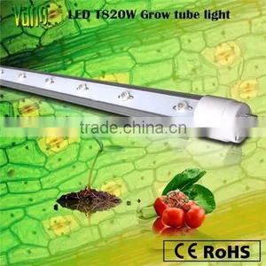 Cheap 10W Led Grow Light Tube T8 for Plant Tissue Culture Labs thumbnail-1