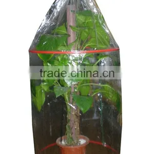 70micorn Thickness PE Plastic Tomato Plant Cover for Agricultural Use thumbnail-4