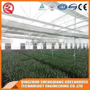Factory Direct Heating to Sell High Quality Venlo Glass Greenhouse thumbnail-6