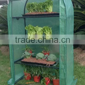 Cheap Mini Greenhouse thumbnail-1