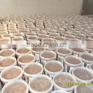 Good Quality Dried Mealworms for Pet Birds ;Dried Mealworms in Favourable Price thumbnail-4